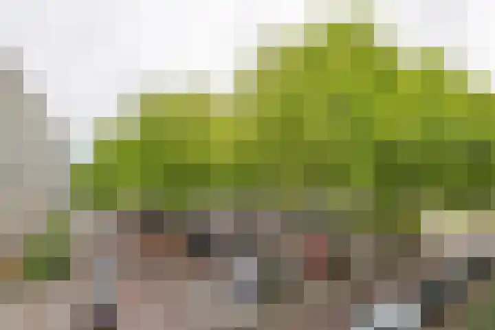 Erasmuslaan 37 Hilversum thumbnail 6