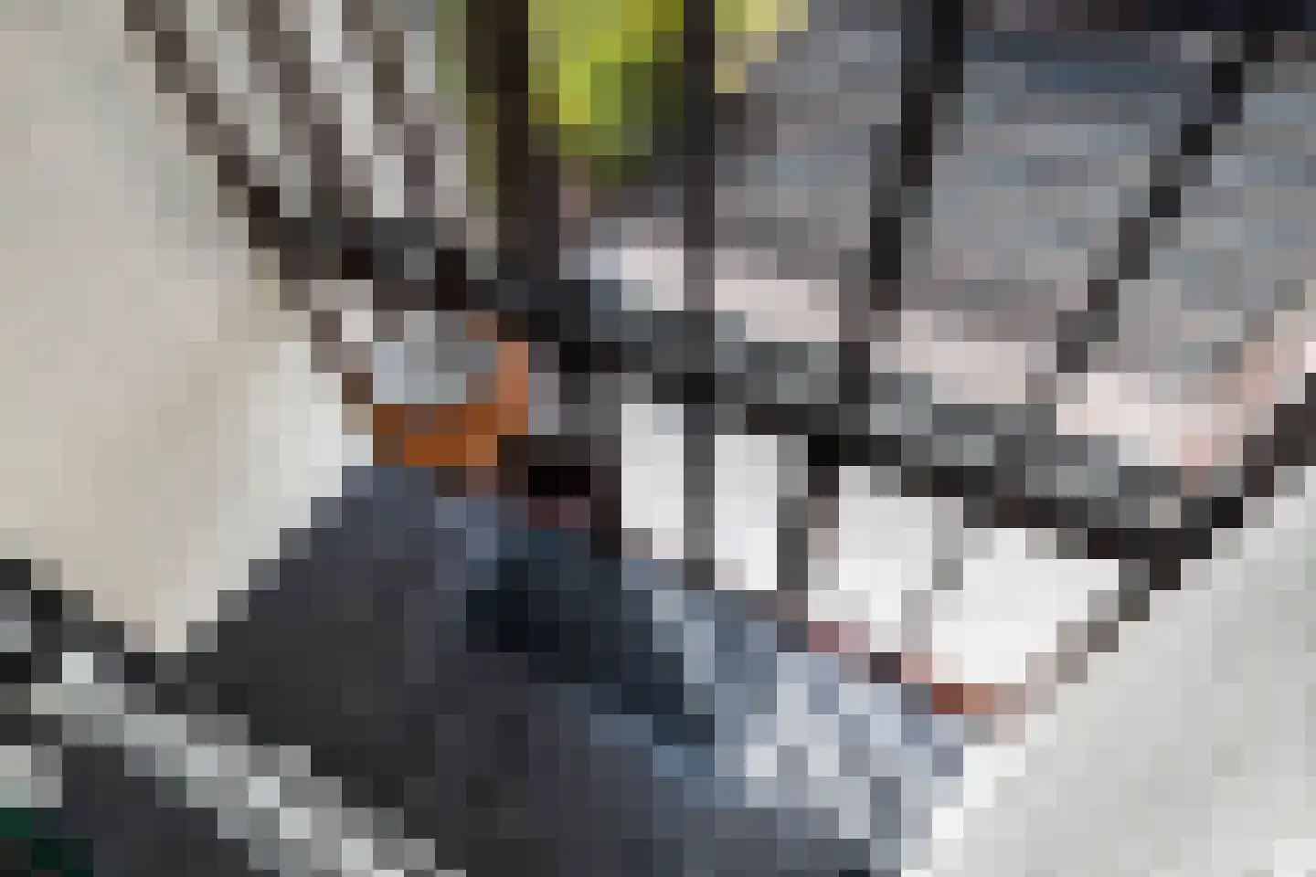 Erasmuslaan 38 Zeist thumbnail 12