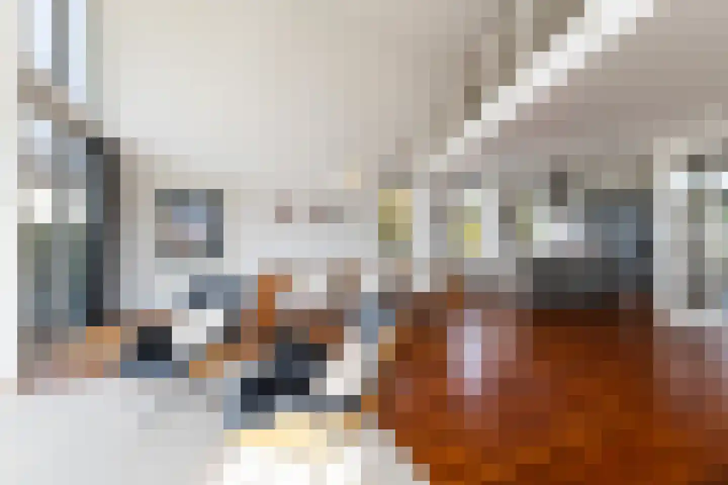 Erasmuslaan 38 Zeist thumbnail 22