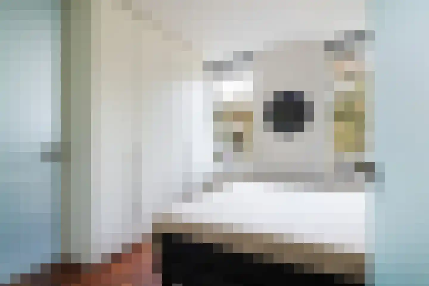 Erasmuslaan 38 Zeist thumbnail 45