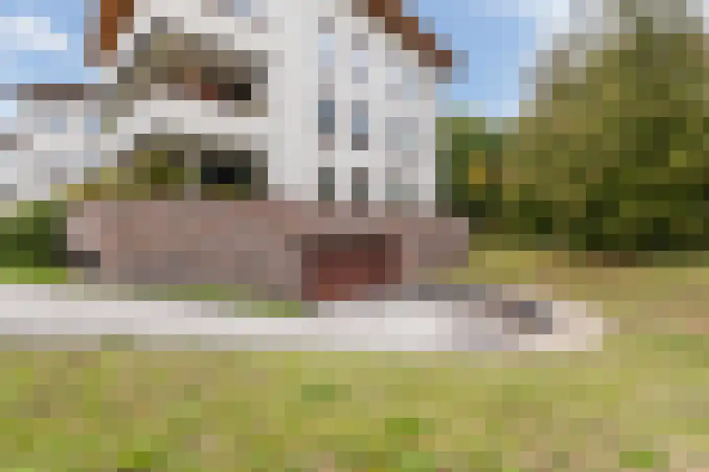 Erasmuslaan 38 Zeist thumbnail 79