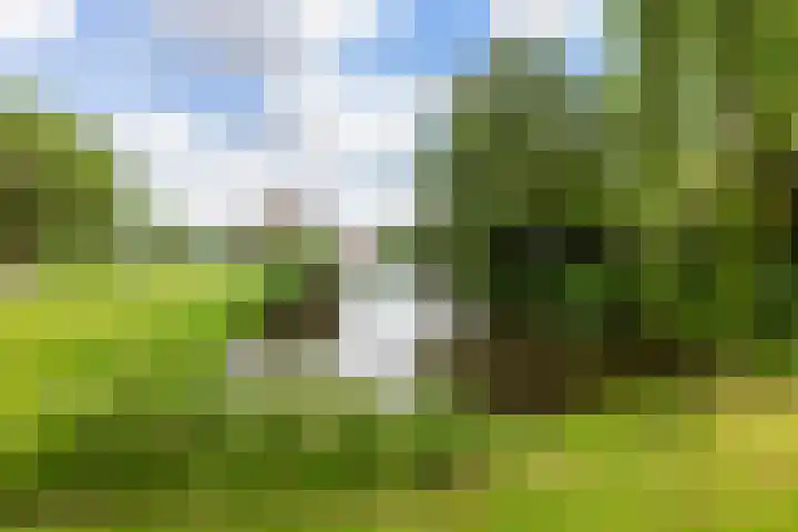 Erasmuslaan 44 Ridderkerk thumbnail 37