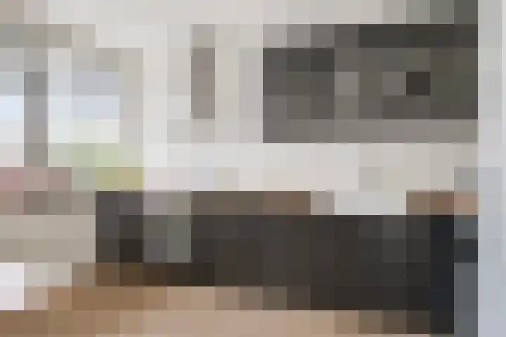 Erasmuslaan 49 Hilversum thumbnail 20
