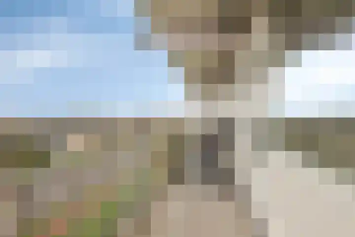 Erasmuslaan 49 Hilversum thumbnail 28