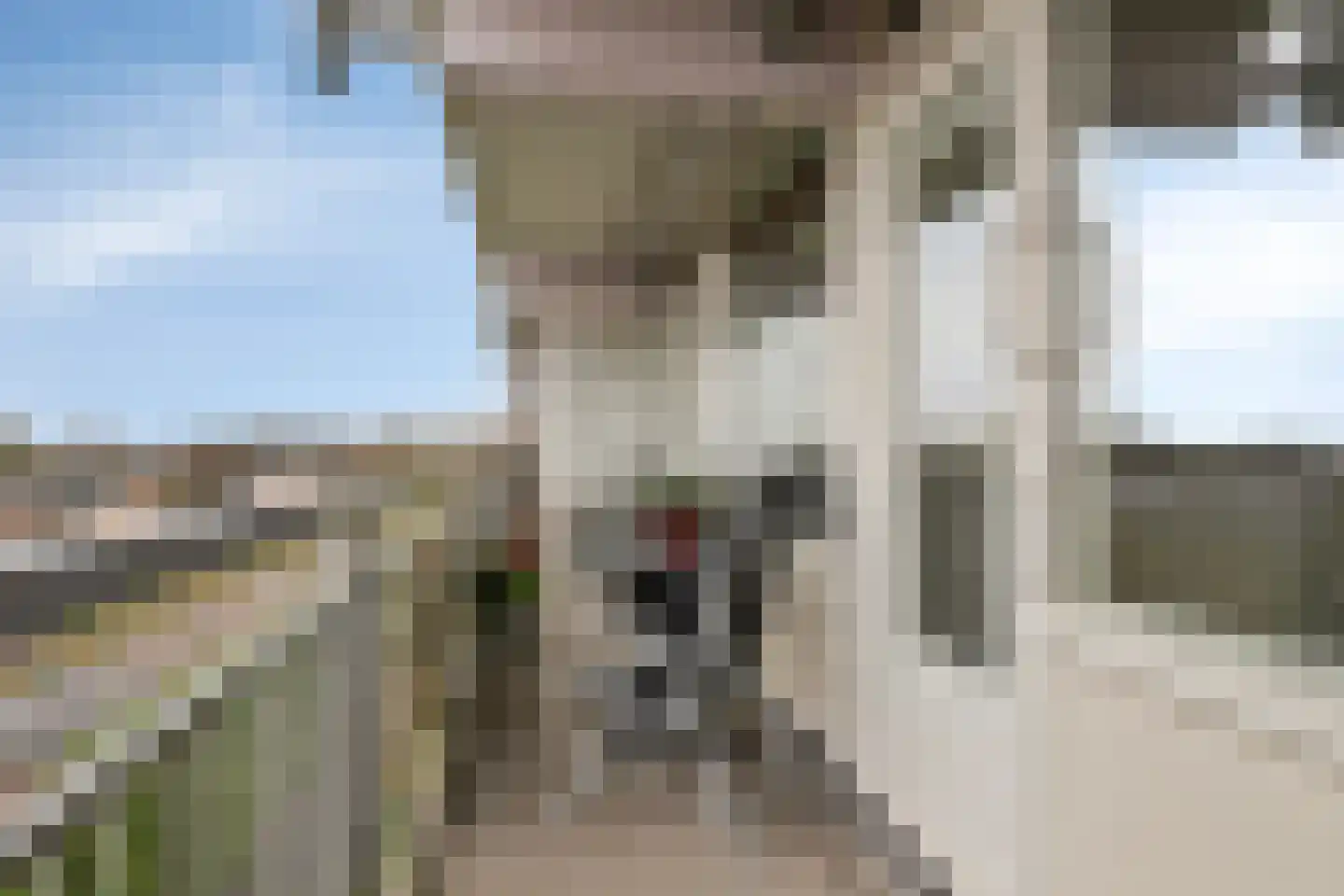 Erasmuslaan 49 Hilversum thumbnail 29