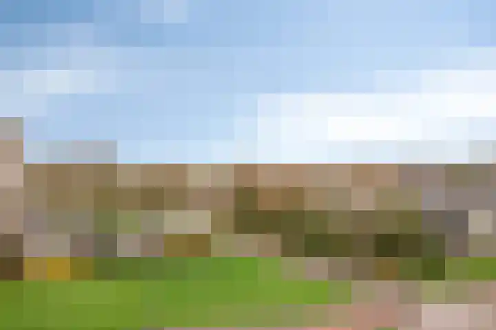 Erasmuslaan 49 Hilversum thumbnail 31