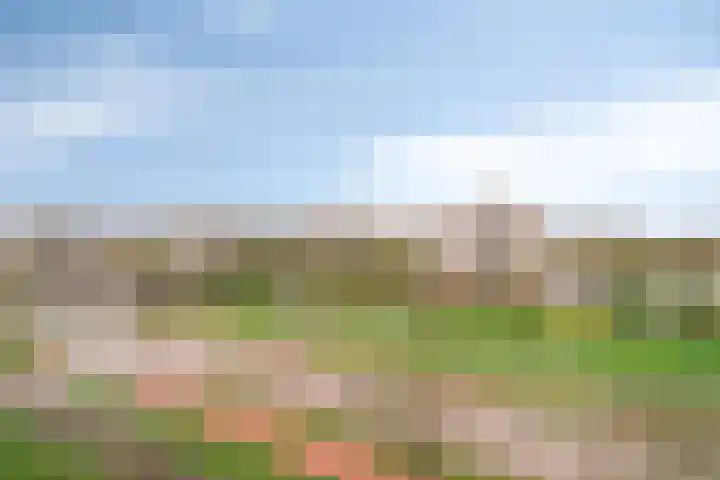 Erasmuslaan 49 Hilversum thumbnail 5