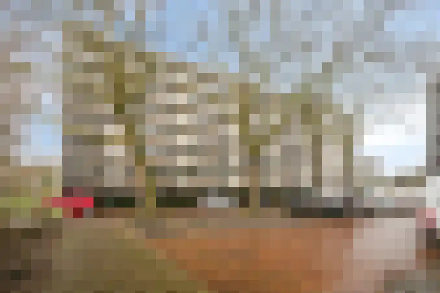 Erasmuslaan 49 Hilversum thumbnail 6