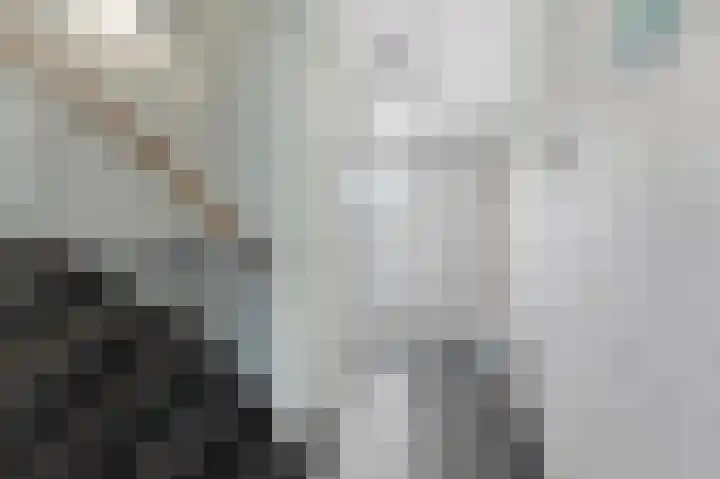 Erasmuslaan 55 Ridderkerk thumbnail 19