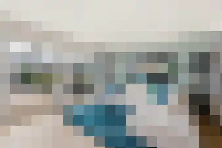 Erasmuslaan 55 Ridderkerk thumbnail 4