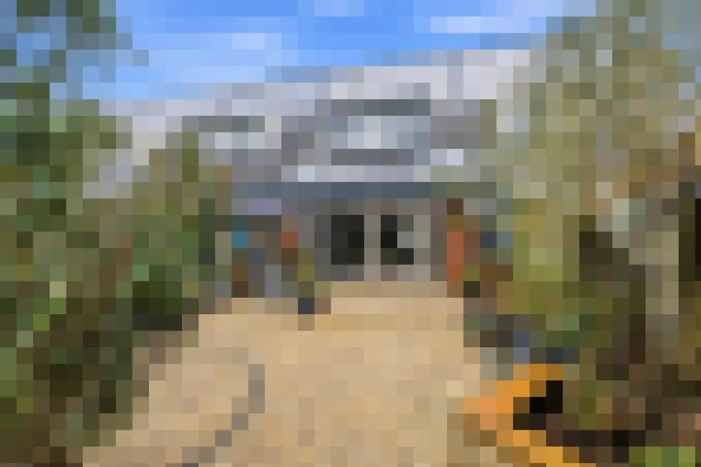 Erasmuslaan 55 Ridderkerk thumbnail 44