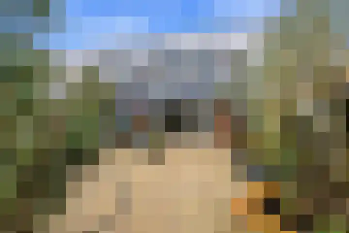 Erasmuslaan 55 Ridderkerk thumbnail 44