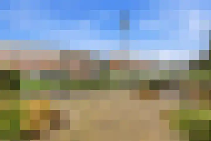 Erasmuslaan 55 Ridderkerk thumbnail 46