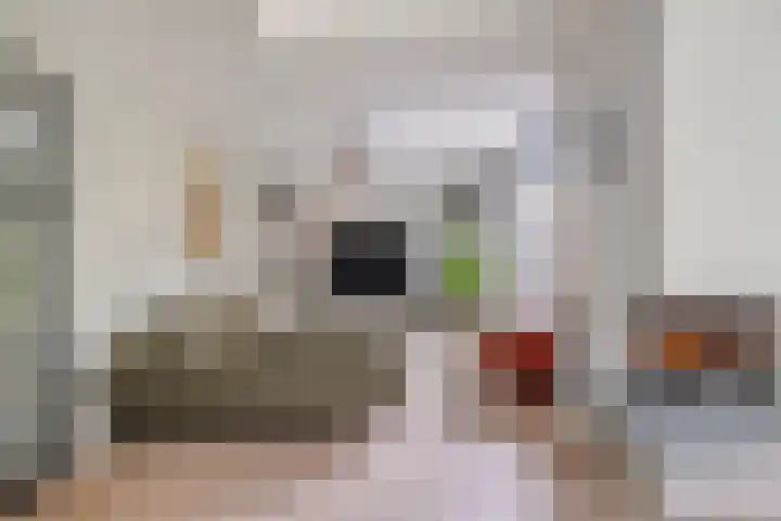 Erasmuslaan 57 Oegstgeest thumbnail 13