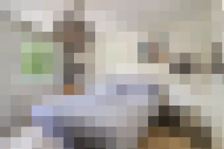 Erasmuslaan 57 Oegstgeest thumbnail 20