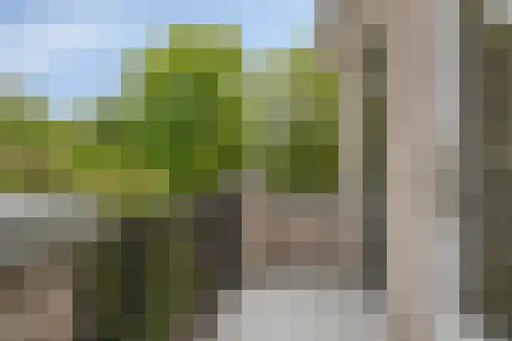 Erasmuslaan 57 Oegstgeest thumbnail 26