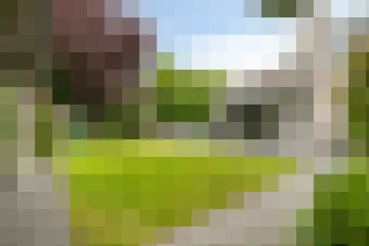 Erasmuslaan 57 Oegstgeest thumbnail 28