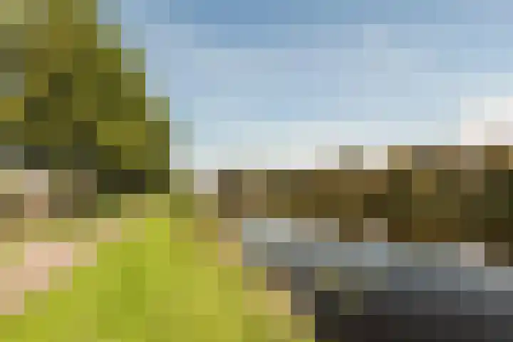 Erasmuslaan 57 Oegstgeest thumbnail 34