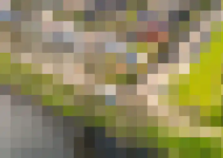 Erasmuslaan 57 Oegstgeest thumbnail 35