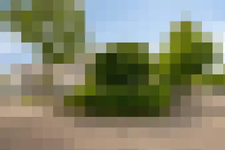 Erasmuslaan 57 Oegstgeest thumbnail 6
