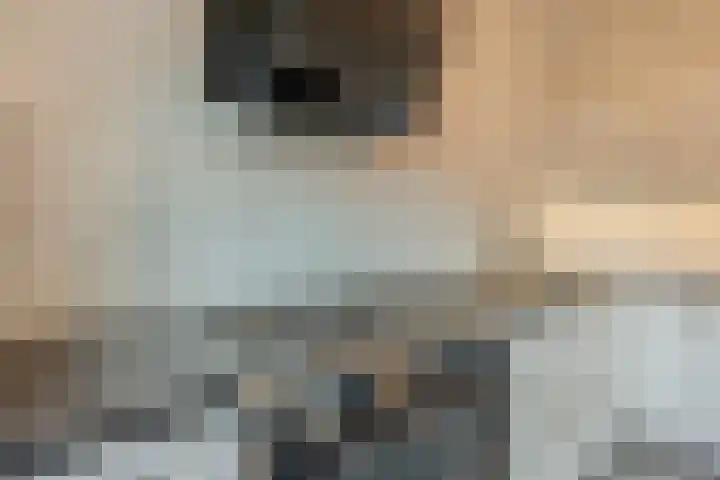 Erasmuslaan 6 Berkel-Enschot thumbnail 12