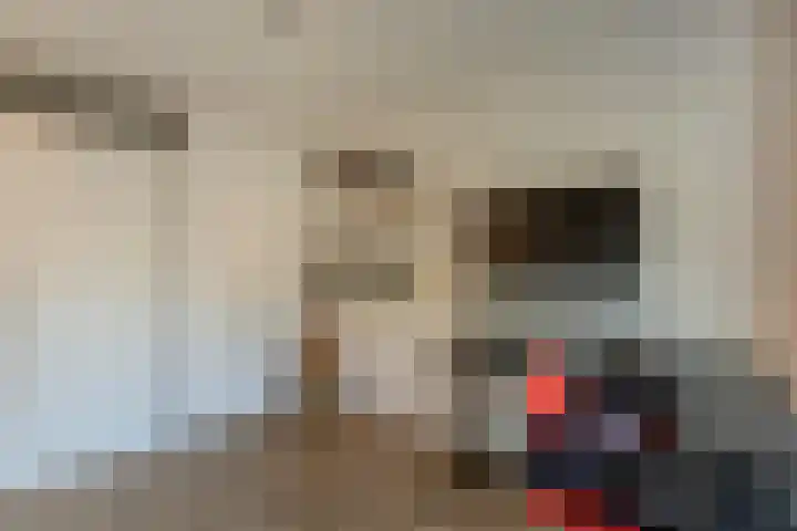 Erasmuslaan 6 Berkel-Enschot thumbnail 18