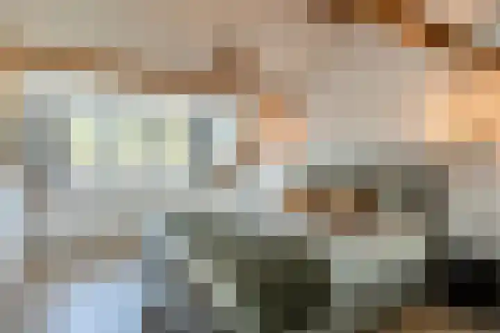 Erasmuslaan 6 Berkel-Enschot thumbnail 34