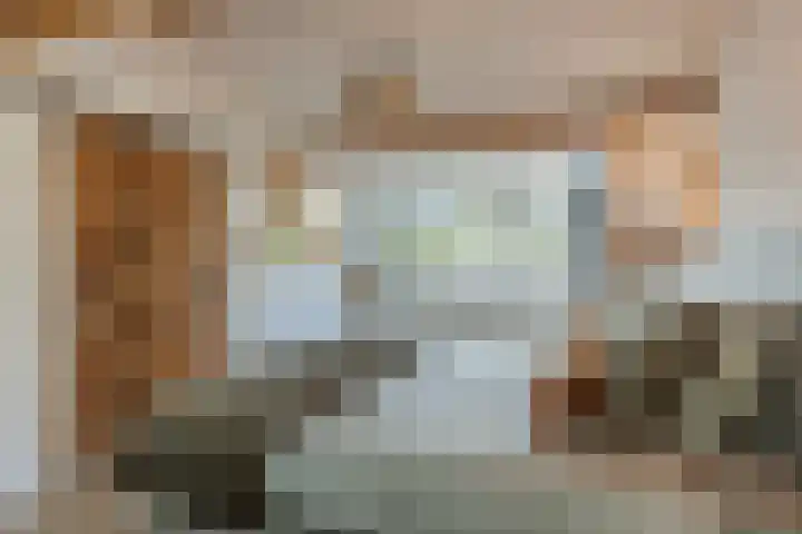 Erasmuslaan 6 Berkel-Enschot thumbnail 35