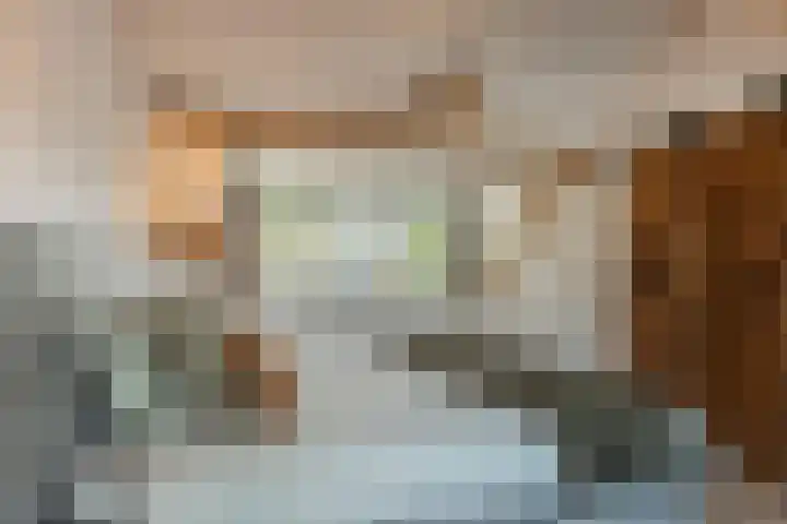 Erasmuslaan 6 Berkel-Enschot thumbnail 37