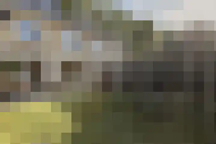 Erasmuslaan 6 Berkel-Enschot thumbnail 38