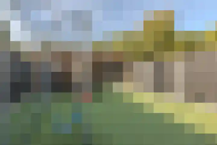 Erasmuslaan 6 Berkel-Enschot thumbnail 42