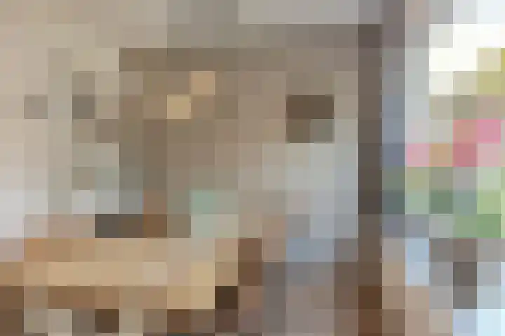 Erasmuslaan 6 Berkel-Enschot thumbnail 8