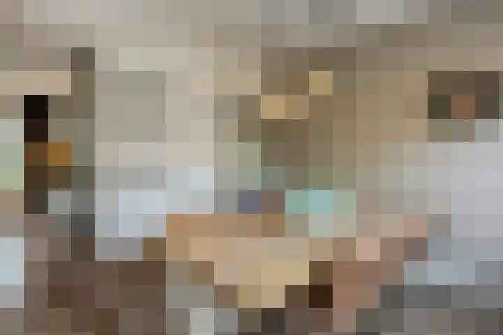 Erasmuslaan 6 Berkel-Enschot thumbnail 9