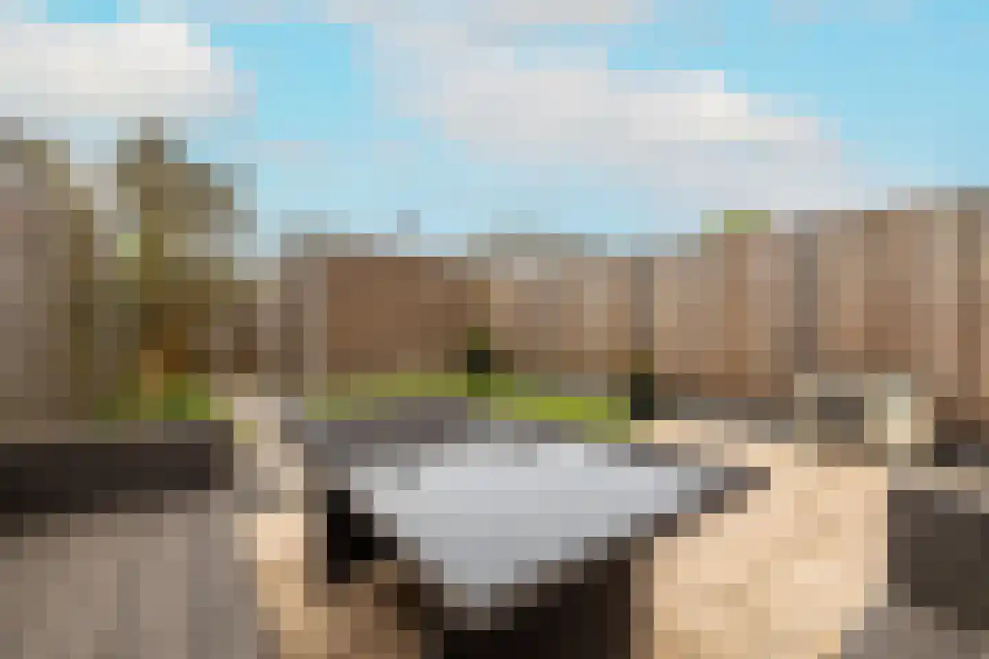 Erasmuslaan 61 Ridderkerk thumbnail 11