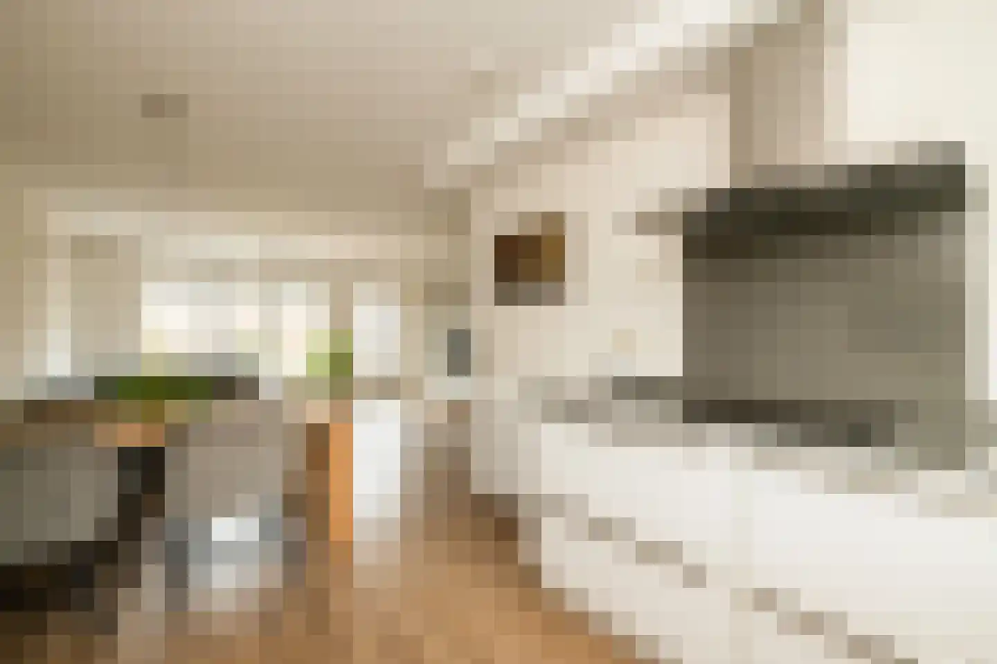 Erasmuslaan 61 Ridderkerk thumbnail 18