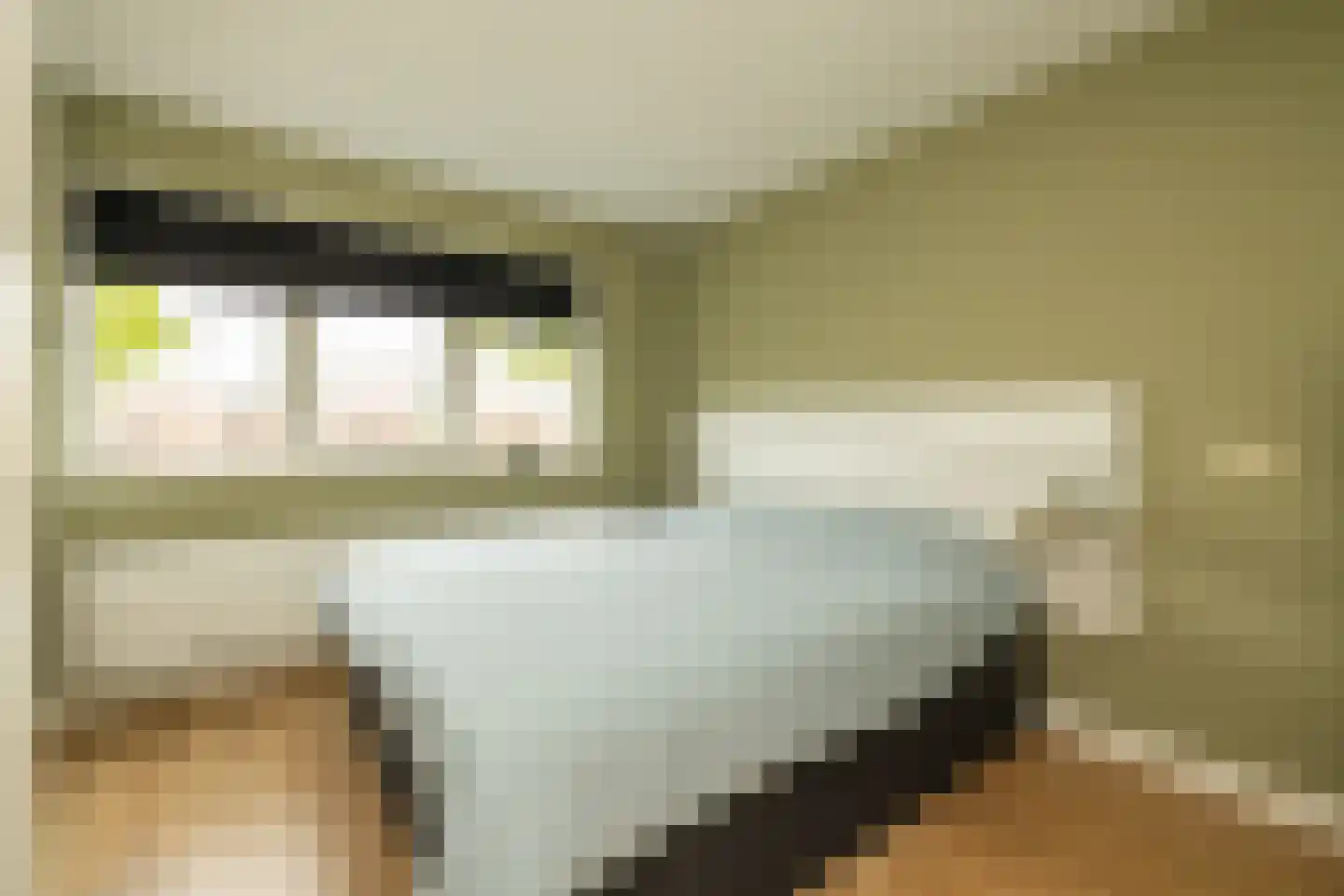 Erasmuslaan 61 Ridderkerk thumbnail 33