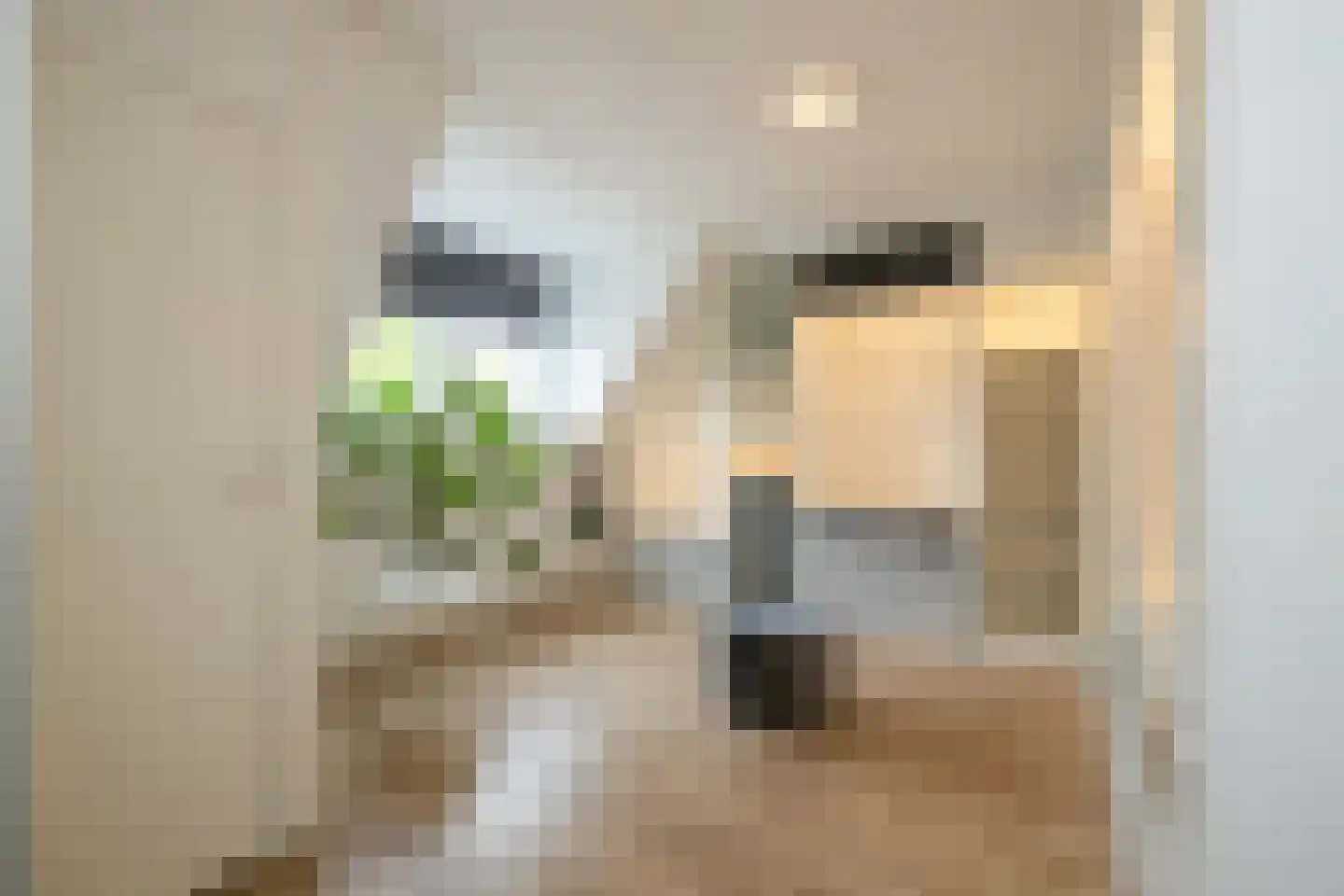 Erasmuslaan 61 Ridderkerk thumbnail 45