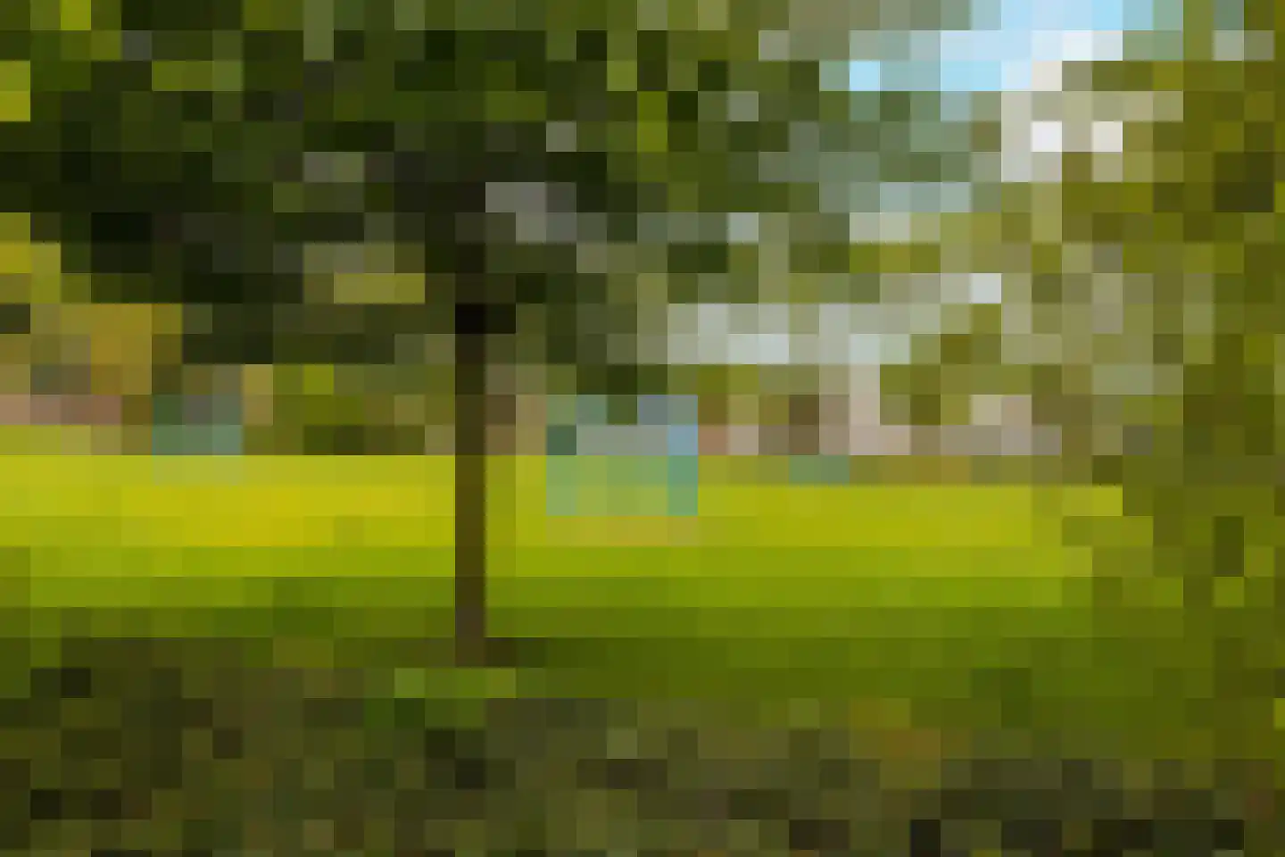 Erasmuslaan 61 Ridderkerk thumbnail 53