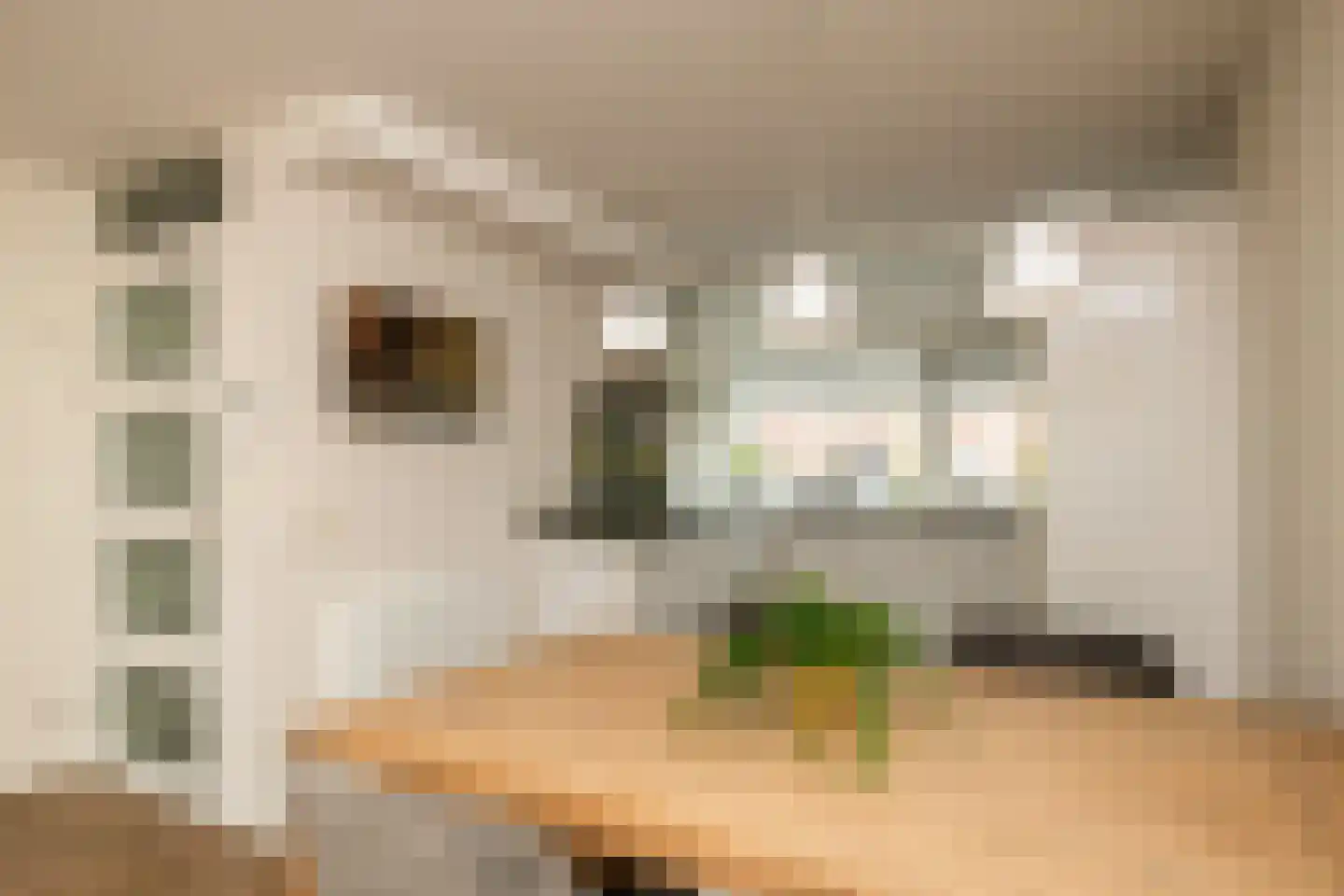 Erasmuslaan 61 Ridderkerk thumbnail 6