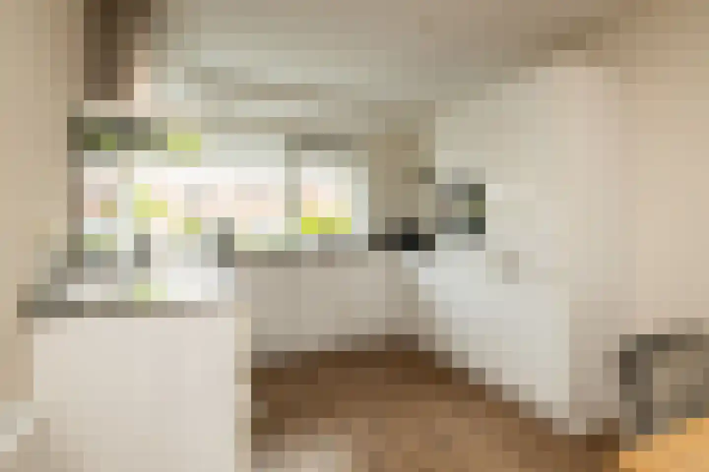 Erasmuslaan 61 Ridderkerk thumbnail 7