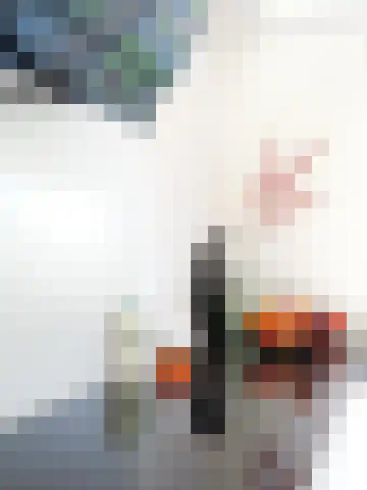 Erasmuslaan 62 Ridderkerk thumbnail 11