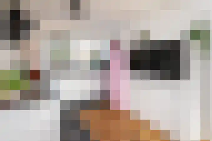 Erasmuslaan 62 Ridderkerk thumbnail 12