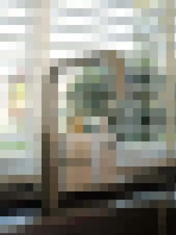 Erasmuslaan 62 Ridderkerk thumbnail 13
