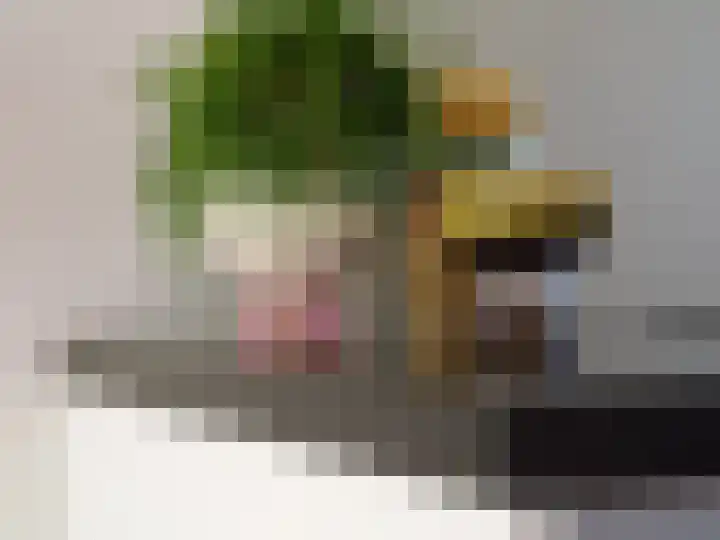 Erasmuslaan 62 Ridderkerk thumbnail 14