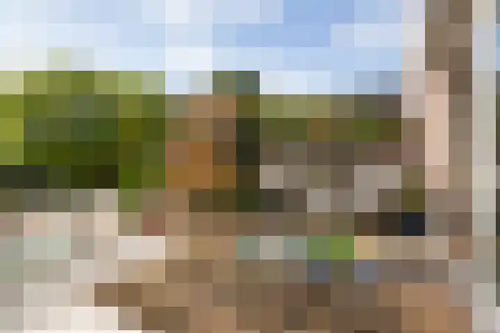 Erasmuslaan 62 Ridderkerk thumbnail 15