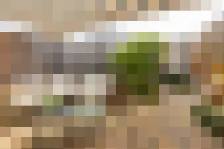 Erasmuslaan 62 Ridderkerk thumbnail 17