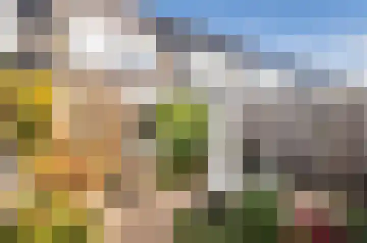 Erasmuslaan 62 Ridderkerk thumbnail 19