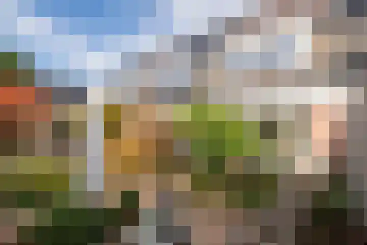 Erasmuslaan 62 Ridderkerk thumbnail 20
