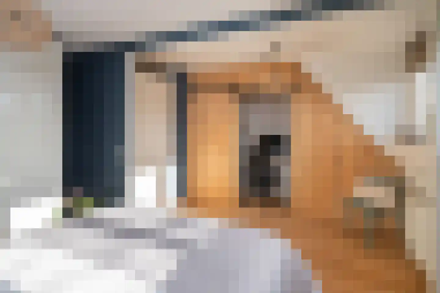 Erasmuslaan 62 Ridderkerk thumbnail 22