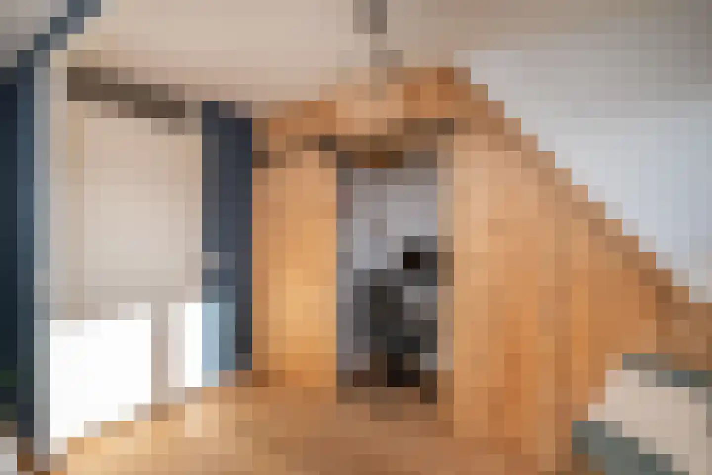 Erasmuslaan 62 Ridderkerk thumbnail 24